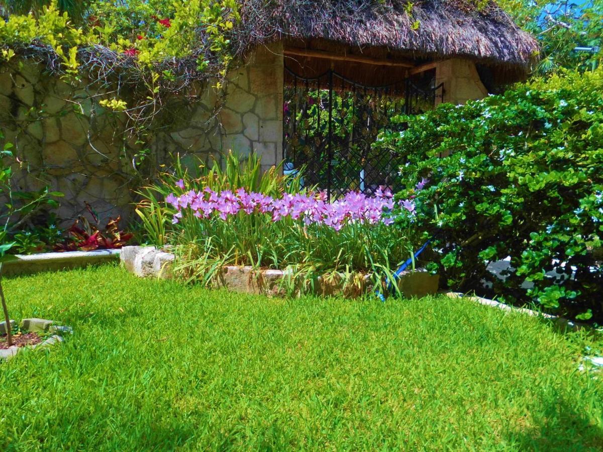 Casa Gatos Aparthotel Akumal Luaran gambar