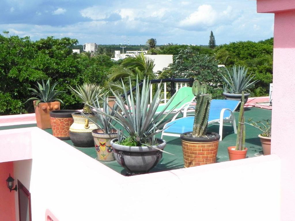 Casa Gatos Aparthotel Akumal Luaran gambar